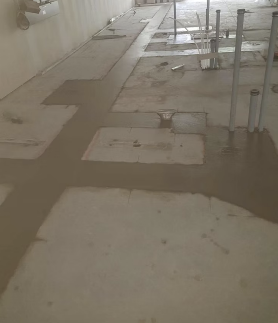 Lions Concrete project photo