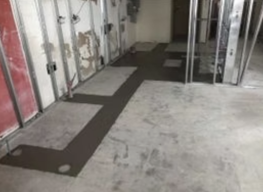 Lions Concrete project photo