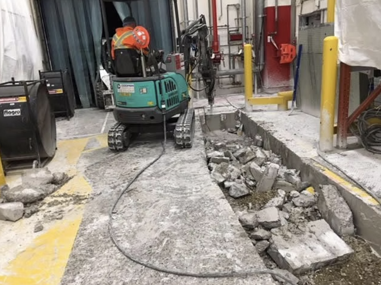 Lions Concrete project photo