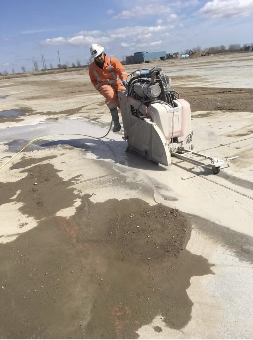 Lions Concrete project photo