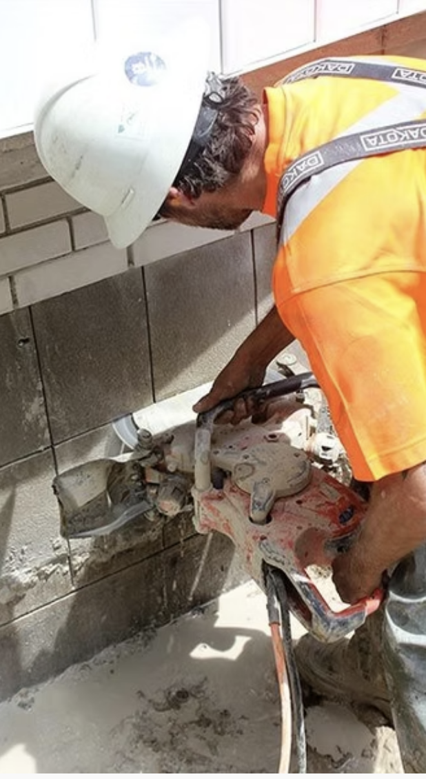 Lions Concrete project photo